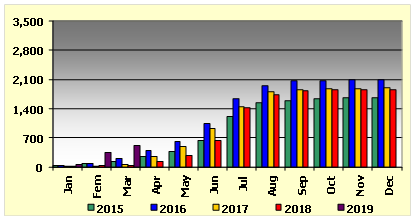Graph 4: Imports of fresh southern bluefin, accumulated monthly, 2015/2019, in tonnes